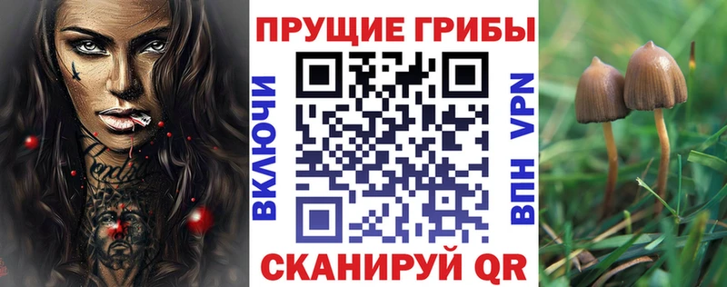 Купить где  Первомайск  Псилоцибиновые грибы Psilocybe 